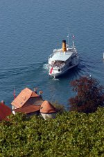 vignes--bateau