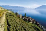 vignobles-du-lavaux-300-dpi