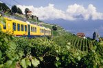 418-train-des-vignes